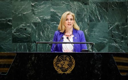 النمسا تدعو أمام الأمم المتحدة إلى تحقيق سلام شامل وعادل ودائم في الشرق الأوسط