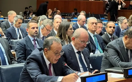 مصر: أفعال إسرائيل تضع مصداقية النظام الدولي على المحك