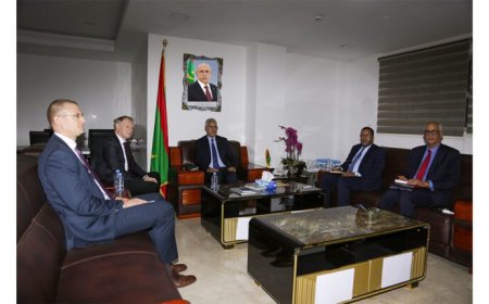 وزير الزراعة يستقبل السفير الألماني