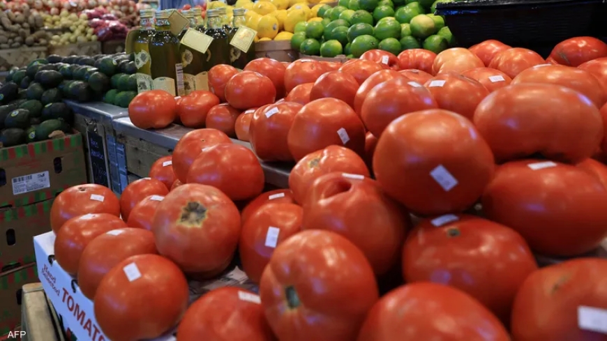 غسل الفواكه والخضروات.. 7 أخطاء عليك تفاديها