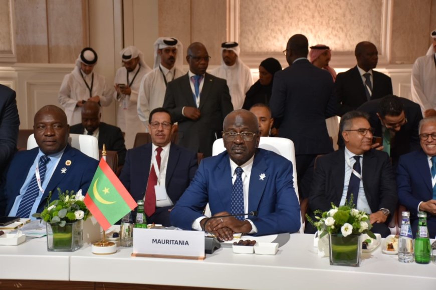 موريتانيا تشارك في الاجتماع التحضيري للقمة العربية الطارئة
