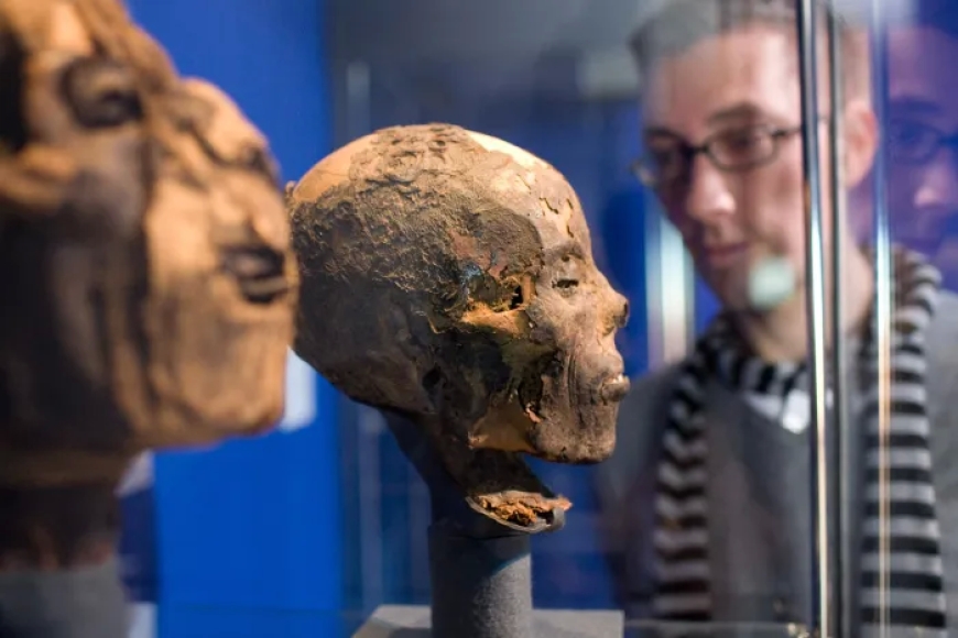 علماء يتوقعون أن يكونوا عثروا على أقدم مومياوات في العالم