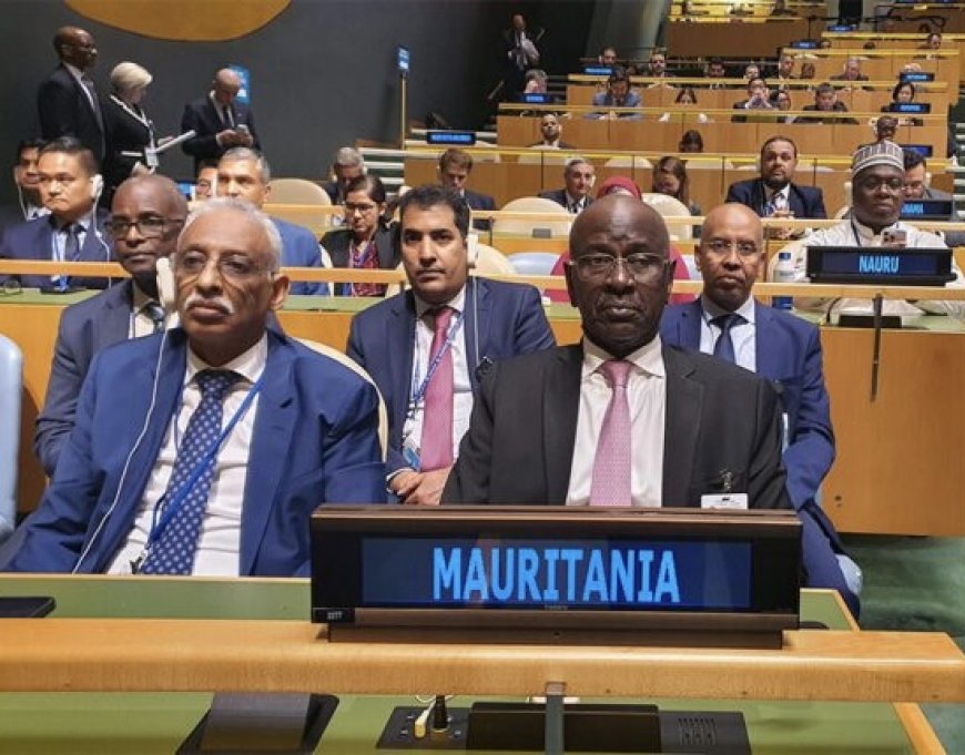 موريتانيا تشارك في مؤتمر أممي حول التسوية السلمية للقضية الفلسطينية