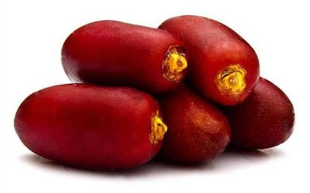 ماذا يحدث إذا تناولت البلح قبل النوم مباشرة؟