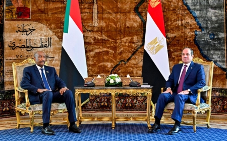 السيسي والبرهان يبحثان تطورات الأوضاع في السودان وملف مياه النيل