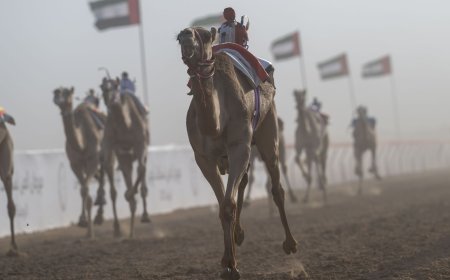 "الآسيوي لسباقات الهجن"/ نقلة نوعية خلال حقبة الرئاسة الإماراتية
