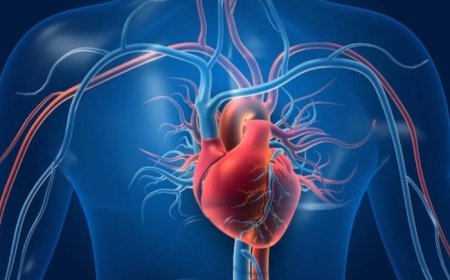 مكمل غذائي شائع يظهر ارتباطا مقلقا بقصور القلب