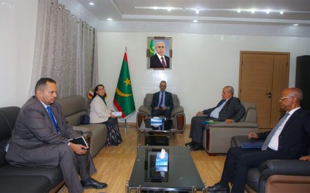 وزير الصيد يبحث مع السفيرة الإيطالية سبل تعزيز التعاون نواكشوط