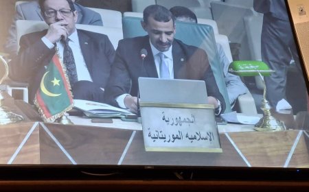 وزراء الإعلام العرب يبحثون مستقبل العمل الإعلامي المشترك في ظل التحولات العالمية.. وموريتانيا تستعرض تجربتها الإصلاحية