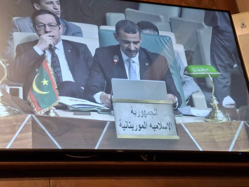 وزراء الإعلام العرب يبحثون مستقبل العمل الإعلامي المشترك في ظل التحولات العالمية.. وموريتانيا تستعرض تجربتها الإصلاحية