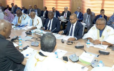 لجنة المالية بالجمعية الوطنية تناقش ميزانية مندوبية التضامن