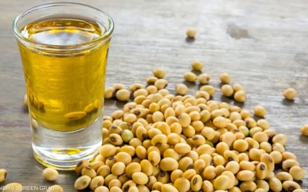 دراسة تربك التوقعات.. "زيت شائع" يسبب زيادة الوزن