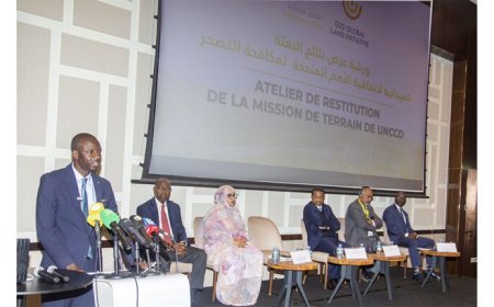 تنظيم ورشة لعرض نتائج البعثة الميدانية لاتفاقية الأمم المتحدة لمكافحة التصحر