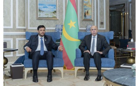 رئيس الجمهورية يلتقي نائب رئيس مجلس القيادة الرئاسي اليمني الدوحة