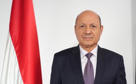 العليمي: رفض مطلق لأي إجراءات تستهدف تقويض مؤسسات الدولة اليمنية