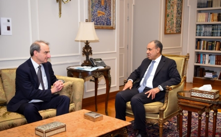 مصر تطالب بسرعة تشكيل لجنة التكنوقراط الفلسطينية لإدارة قطاع غزة