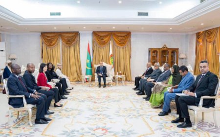 رئيس الجمهورية يستقبل وفدا من البنك الدولي