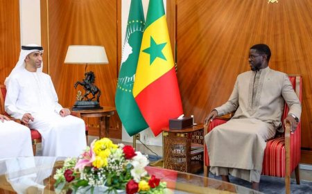 الإمارات والسنغال تستكشفان آليات الارتقاء بالتدفقات التجارية والاستثمارية