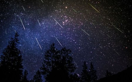 سماء المنطقة العربية تشهد مساء اليوم زخة شهب التوأميات