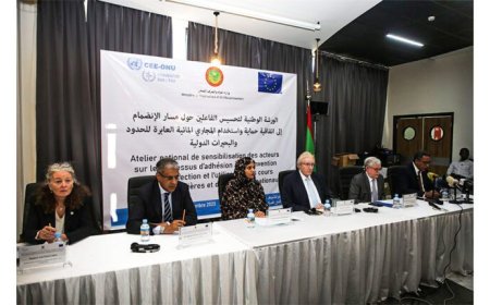 تنظيم ورشة حول مسار انضمام موريتانيا لاتفاقية حماية واستخدام المجاري المائية