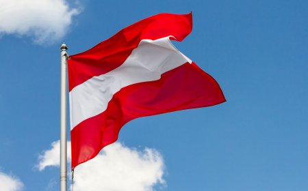 النمسا تنضم إلى الجهود الدولية لدعم تنفيذ خطة السلام في قطاع غزة