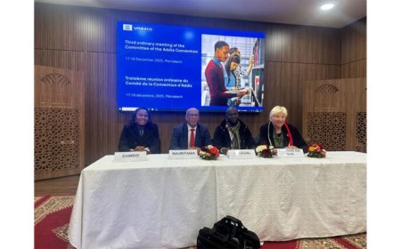 اختيار موريتانيا نائبا أول لرئيس لجنة متابعة تنفيذ اتفاقية اديس أبابا