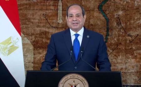 السيسي: ندعم الجهود الرامية لتسوية الأزمة الروسية الأوكرانية