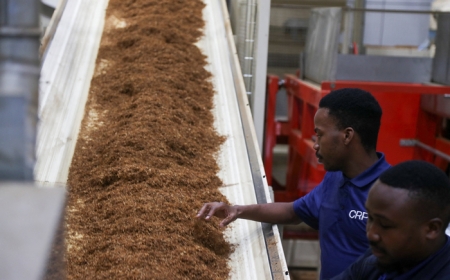 تقرير: النيكوتين خطر على القلب مهما كانت وسيلة استهلاكه