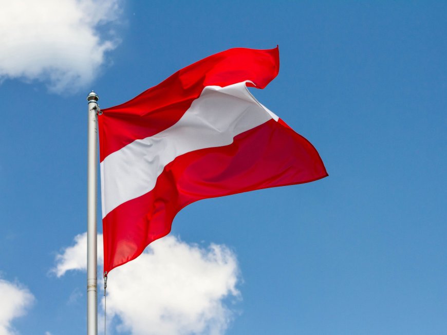 النمسا تنضم إلى الجهود الدولية لدعم تنفيذ خطة السلام في قطاع غزة