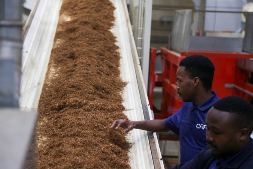 تقرير: النيكوتين خطر على القلب مهما كانت وسيلة استهلاكه